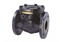 50mm FM469 Cast Iron Swing Check Valve PN16 Flanged