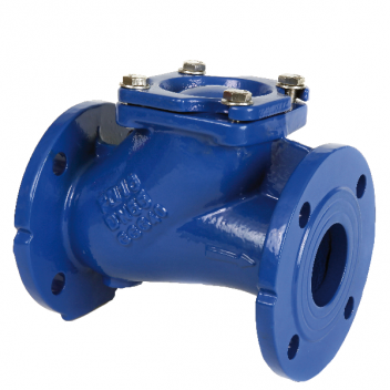 125mm ART172 Ductile Iron Ball Check Valve BSPP FxF PN16 Flanged Ends