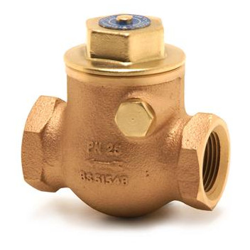 50mm 1060A Bronze Swing Check Valve BSPT PN25 FxF