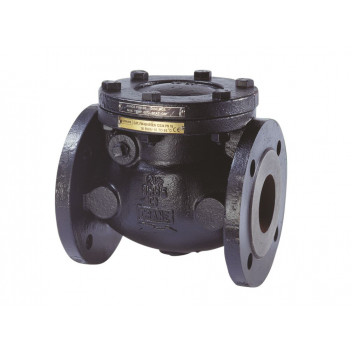 50mm FM469 Cast Iron Swing Check Valve PN16 Flanged